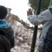 Israel demolishes more Palestinian homes ahead of program to annex occupied territories.