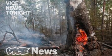 Shocking rise in CO2 and pollution from Siberian heatwave.