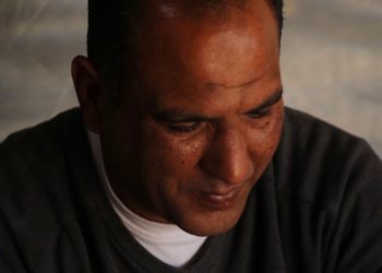 Palestine report: 1st September 2020