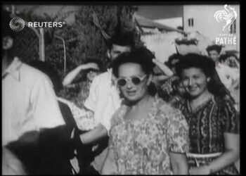 Are Zionist Terrorists a protected species?