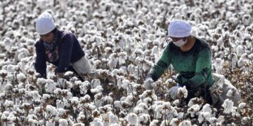 82 Major brands have slaves working in their supply chains.