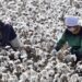 82 Major brands have slaves working in their supply chains.
